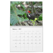 Spechte Kalender (Feb 2027)
