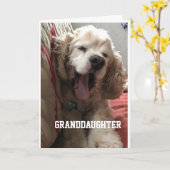 **SPECIAL BIRTHDAY** for "GRANDDAUGHTER" Card Karte (Gelbe Blume)