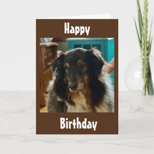SPECIAL BIRTHDAY WISHES FROM A SPECIAL PUPPY KARTE (Vorderseite)