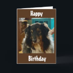 SPECIAL BIRTHDAY WISHES FROM A SPECIAL PUPPY KARTE<br><div class="desc">SOMEONE YOU KNOW IS HAVING A BIRTHDAY AND THEY LOVE PUPPIES AND I THINK THAT THEY WILL LOVE THIS CARD! DO NOT FORGET THAT YOU CAN ÄNDERT THE VERSE ON THE FRONT AND INSIDE MY CARDS!!!  THANKS FOR STOPPING BY ONE OF MY EIGHT STORES!</div>