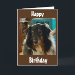 SPECIAL BIRTHDAY WISHES FROM A SPECIAL PUPPY KARTE<br><div class="desc">SOMEONE YOU KNOW IS HAVING A BIRTHDAY AND THEY LOVE PUPPIES AND I THINK THAT THEY WILL LOVE THIS CARD! DO NOT FORGET THAT YOU CAN ÄNDERT THE VERSE ON THE FRONT AND INSIDE MY CARDS!!!  THANKS FOR STOPPING BY ONE OF MY EIGHT STORES!</div>