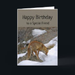 Special Friend Wonderful Birthday Fox Tier Karte<br><div class="desc">Spaß Special Friend Geburtstag Sie verdienen Wonderful Birthday Fox schauen aufmerksam auf etwas. Eine tolle Karte für jemanden,  der Tiere und Füchse Liebe.</div>