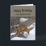 Special Friend Wonderful Birthday Fox Tier Karte<br><div class="desc">Spaß Special Friend Geburtstag Sie verdienen Wonderful Birthday Fox schauen aufmerksam auf etwas. Eine tolle Karte für jemanden,  der Tiere und Füchse Liebe.</div>