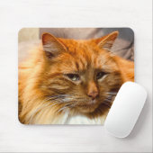 Special Kitty Nemo Mousepad (Mit Mouse)