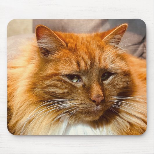 Special Kitty Nemo Mousepad (Vorne)