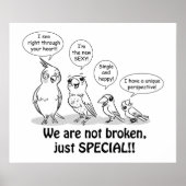 Special Need Birds Poster (Vorne)