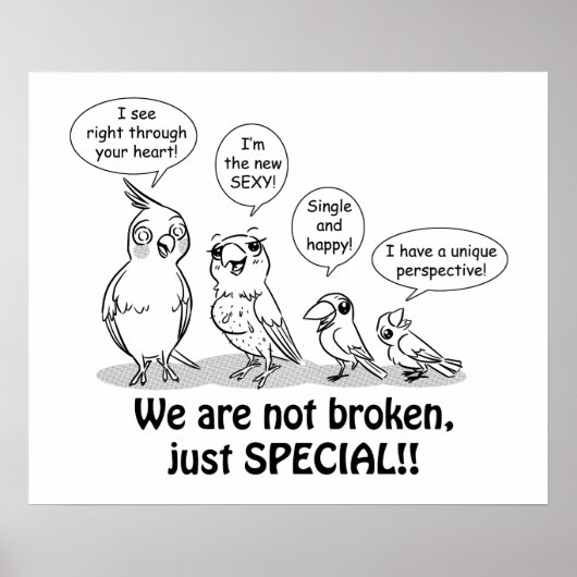 Special Need Birds Poster (Vorne)