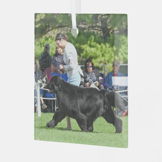 Special Order for Carol B Christmas Glass Ornament (Vorderseite links)