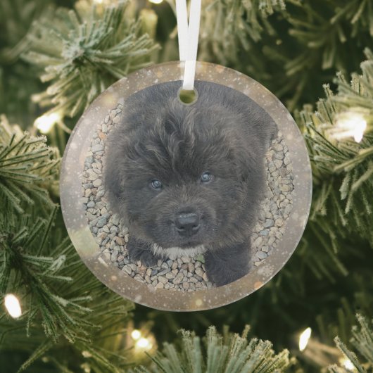 Special Order Gray Puppy Glass Ornament Aus Glas (InSitu)