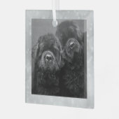 Special Order Two Newfs Glass Ornament (Vorderseite links)