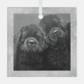 Special Order Two Newfs Glass Ornament (Vorderseite)