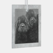 Special Order Two Newfs Glass Ornament (Vorderseite Rechts)