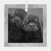 Special Order Two Newfs Glass Ornament (Rückseite)