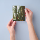 Speck Flyer (Gruppe)