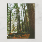 Speck Flyer (Hinten)