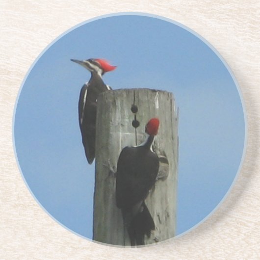 Specker am Pol Untersetzer (Vorne)