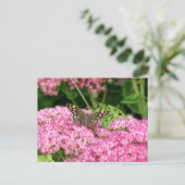 Speckholz - Schmetterling auf See Postkarte (Stehend Vorderseite)