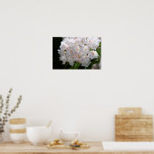 Specklatschas Poster (Küche)