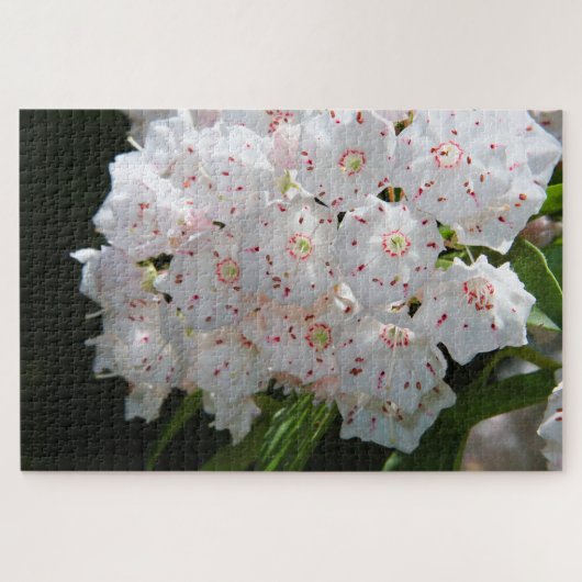 Specklatschas Puzzle (Horizontal)
