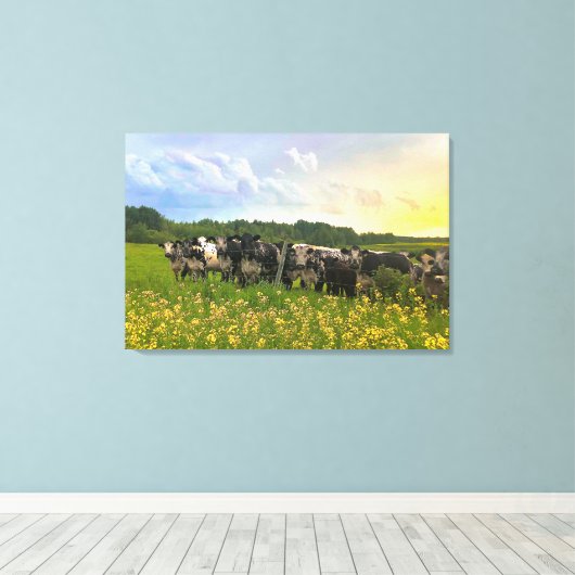 Speckle Park Rinder unter Regendusche, Sonnenunter Leinwanddruck (Insitu (Holzboden))