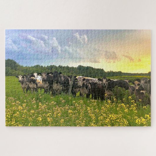 Speckle Park Rinder unter Regendusche, Sonnenunter Puzzle (Horizontal)