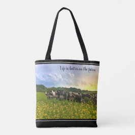 Speckle Park Rinder unter Regendusche, Sonnenunter Tasche