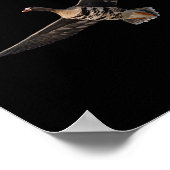 Specklebelly Gänse Shirt Weiße Vordergrinne Gänse Poster (Ecke)