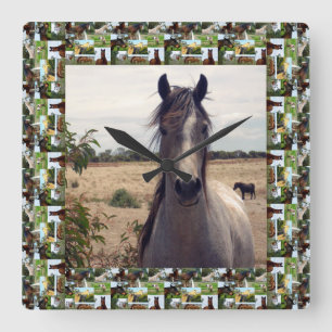 Speckled Arab Horse In Horses Photo Frame, Quadratische Wanduhr