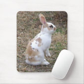 Speckled Bunny Rabbit.. Mousepad (Mit Mouse)