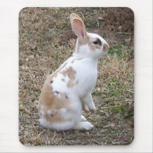 Speckled Bunny Rabbit.. Mousepad