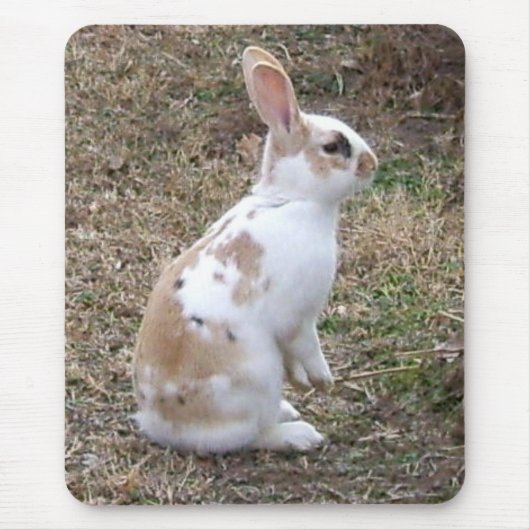 Speckled Bunny Rabbit.. Mousepad (Vorne)