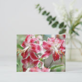 Speckled & Red! Postkarte (Stehend Vorderseite)