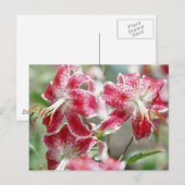 Speckled & Red! Postkarte (Vorne/Hinten)