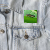 Speckled Sharpshooter Leaf Hopper Items Button (Beispiel)