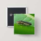 Speckled Sharpshooter Leaf Hopper Items Button (Vorne & Hinten)