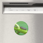 Speckled Sharpshooter Leaf Hopper Items Magnet (In Situ (Geschirrspüler))