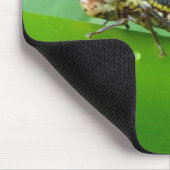 Speckled Sharpshooter Leaf Hopper Items Mousepad (Ecke)