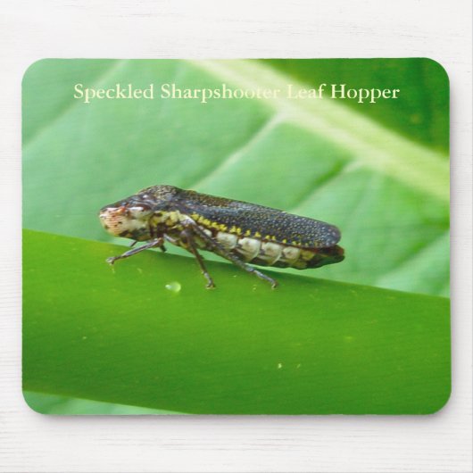 Speckled Sharpshooter Leaf Hopper Items Mousepad (Vorne)