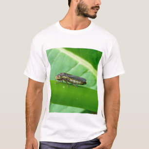 Speckled Sharpshooter Leaf Hopper Items T-Shirt