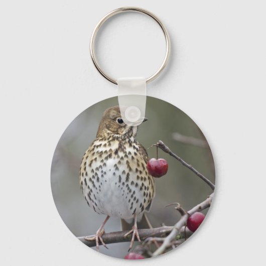 Speckled Songster Keyring Schlüsselanhänger (Vorderseite)