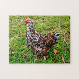 Speckled Sussex Calico Chicken Hen Puzzle