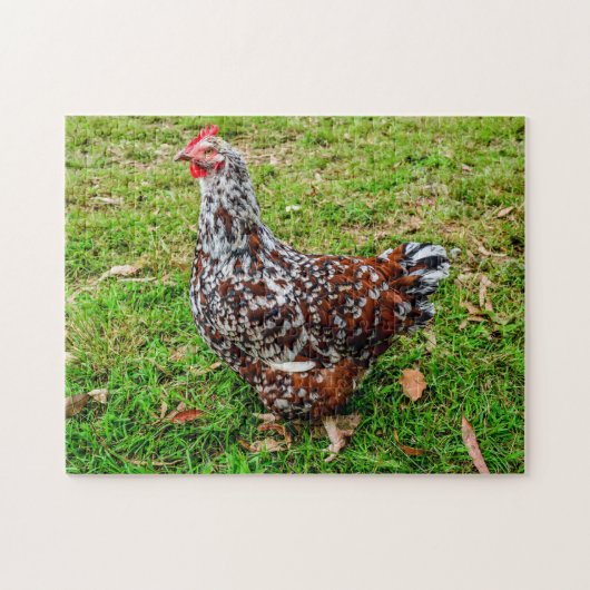 Speckled Sussex Calico Chicken Hen Puzzle (Horizontal)