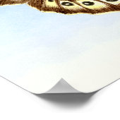 Speckled Wood Butterfly Aquarellmalerei Poster (Ecke)