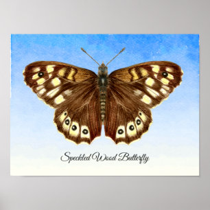 Speckled Wood Butterfly Aquarellmalerei Poster