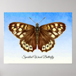 Speckled Wood Butterfly Aquarellmalerei Poster