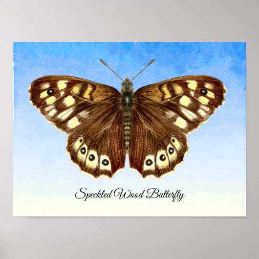Speckled Wood Butterfly Aquarellmalerei Poster (Vorne)