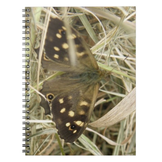Speckled Wood Butterfly Notebook Notizblock (Vorderseite)