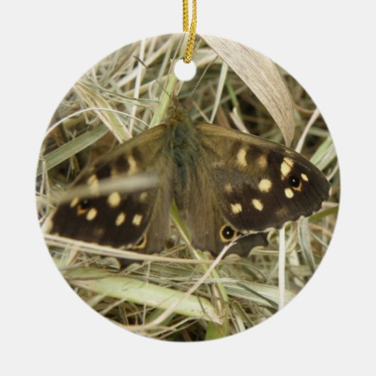 Speckled Wood Butterfly Ornament (Vorne)