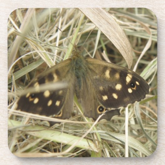 Speckling Wood Butterfly Cork Untersetzer (Vorderseite)