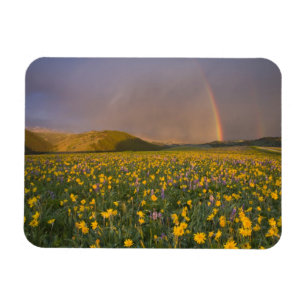Specktakuläre Wildblumenwiese bei Sonnenaufgang in Magnet